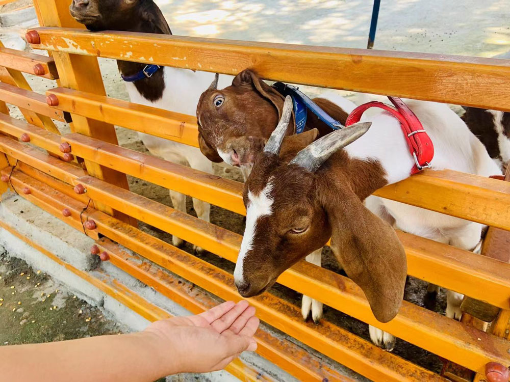 The travel to celebrate the 10th anniversary of Carku