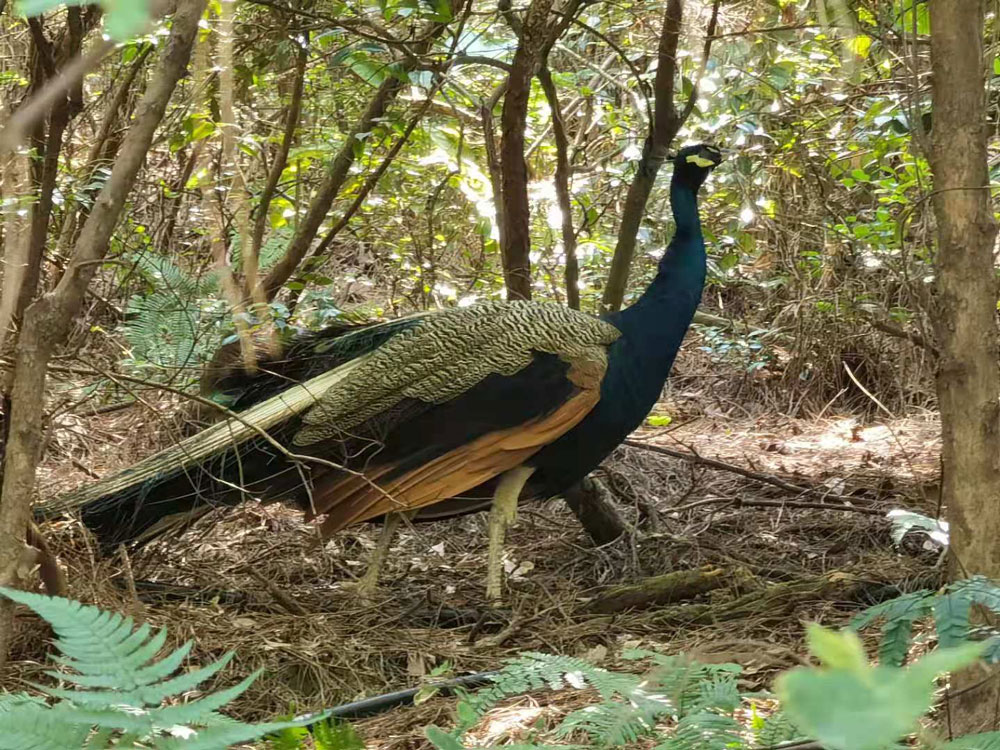 The travel to celebrate the 10th anniversary of Carku